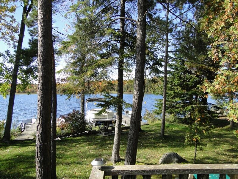 A view of a lake through the trees from a deck