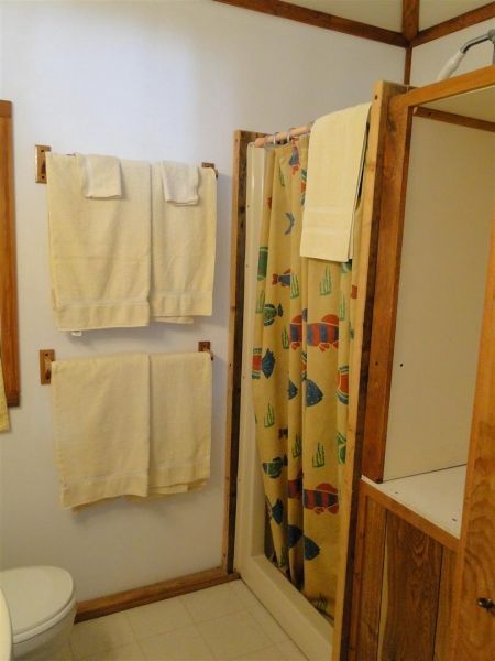 A bathroom with a toilet and a shower curtain with fish on it
