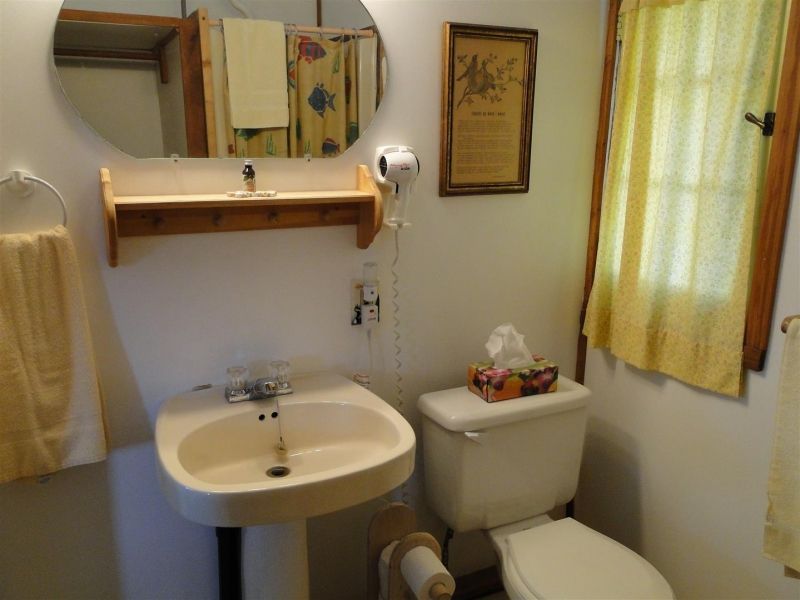 A bathroom with a toilet a sink and a mirror