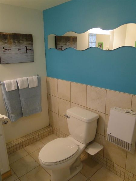 A bathroom with a toilet and a large mirror
