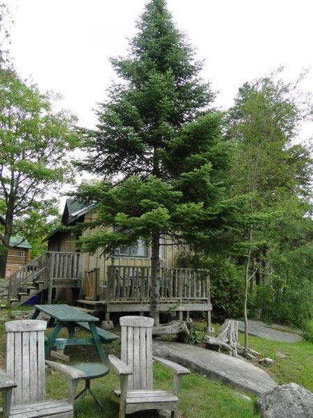 A house with a picnic table and chairs in front of it