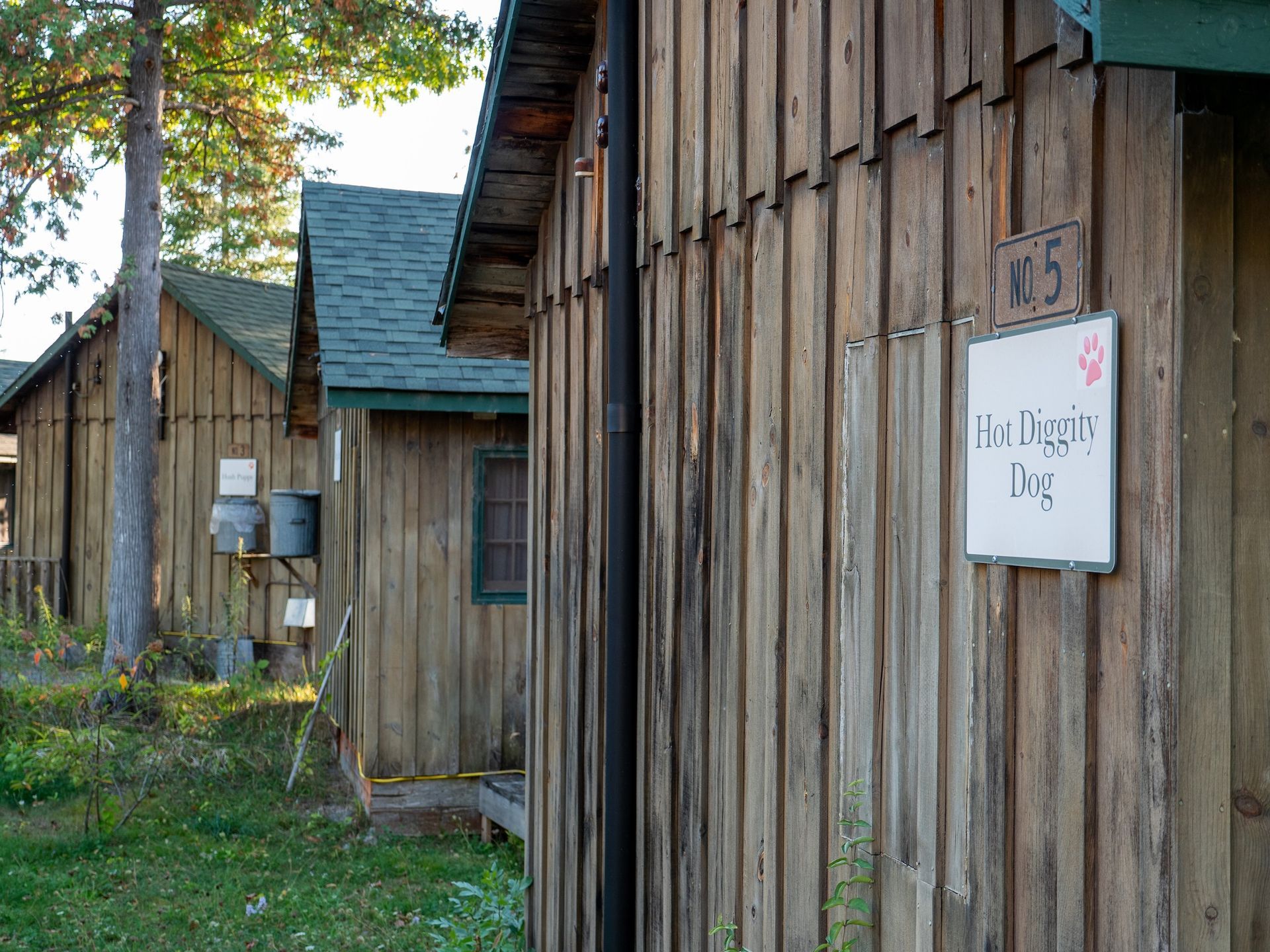 A large wooden house is surrounded by trees and chairs