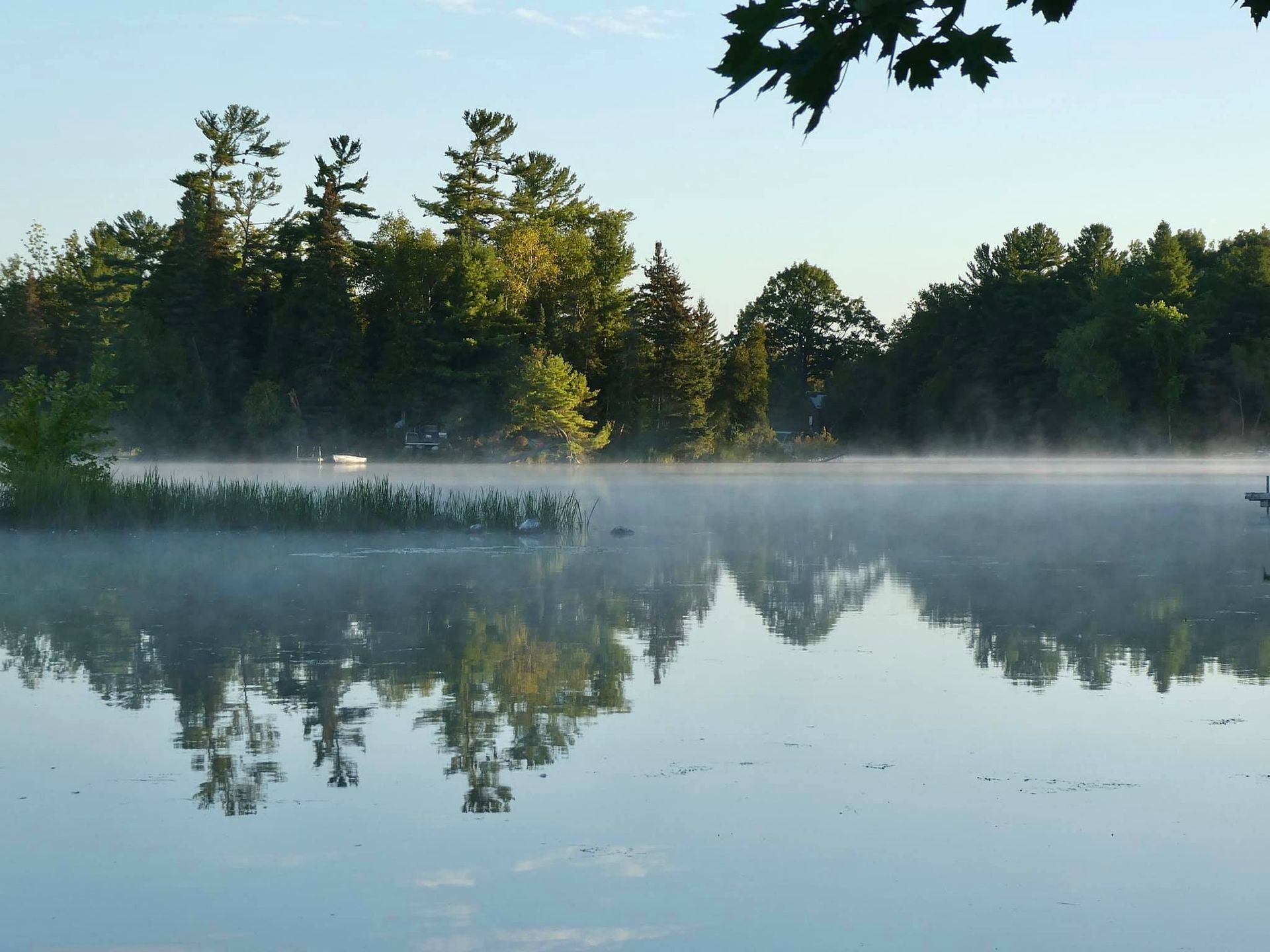 A foggy lake with trees in the background
