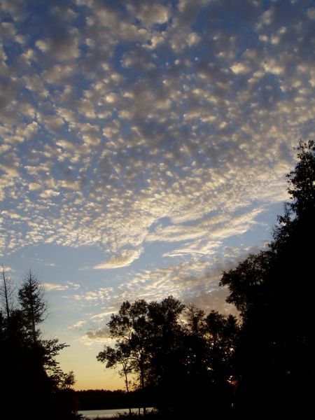 A sunset over a lake with trees in the foreground