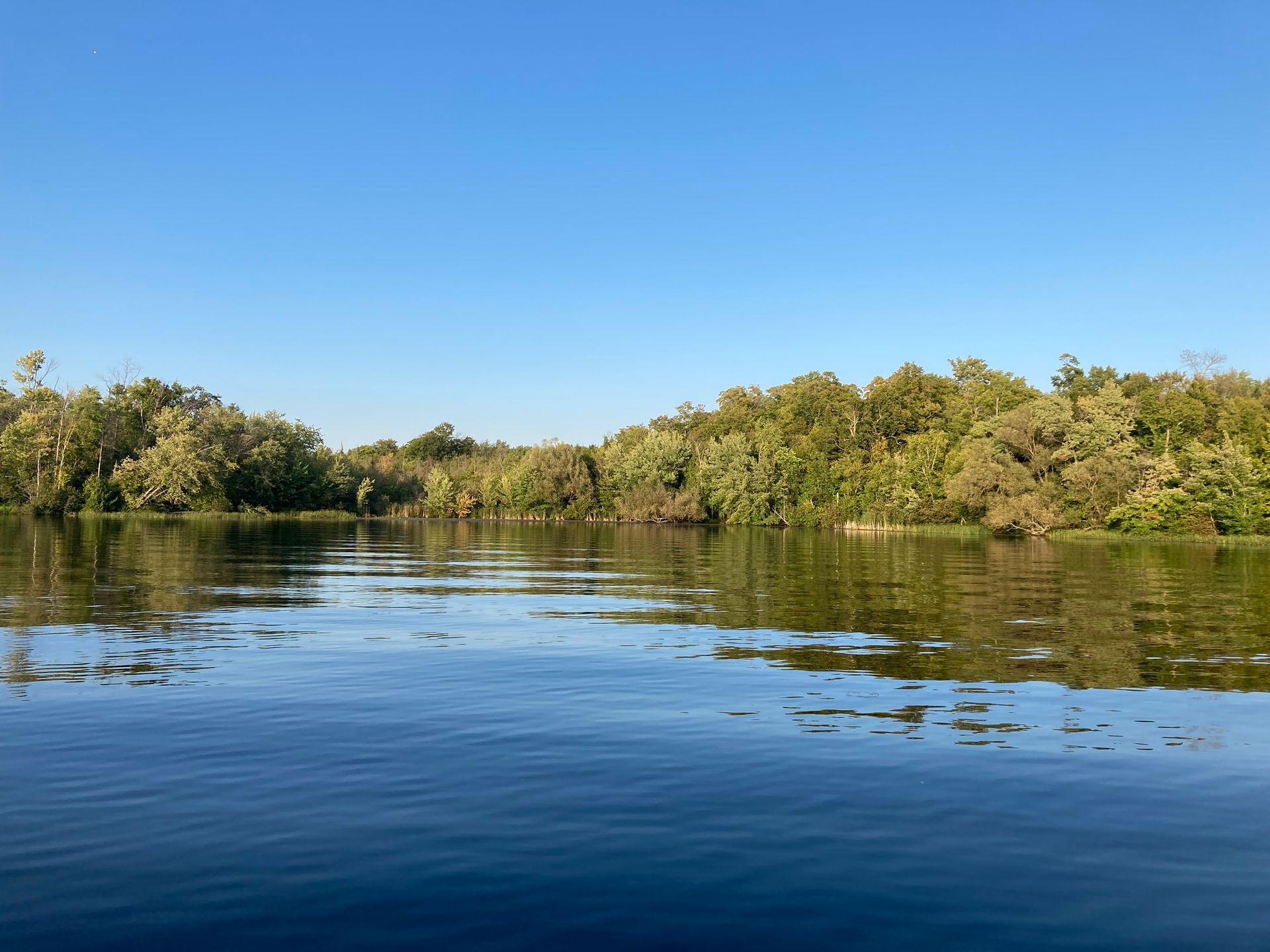 A large body of water surrounded by trees on a sunny day.