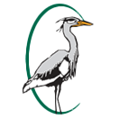 A bird with a long neck is standing in a green circle.