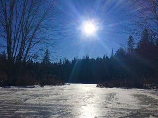 The sun is shining through the trees over a frozen lake.