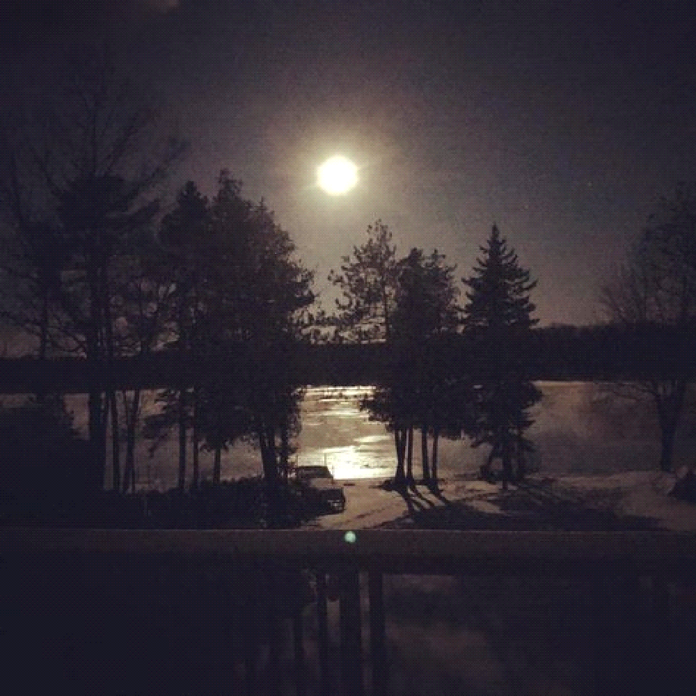 A full moon shines over a lake with trees in the foreground
