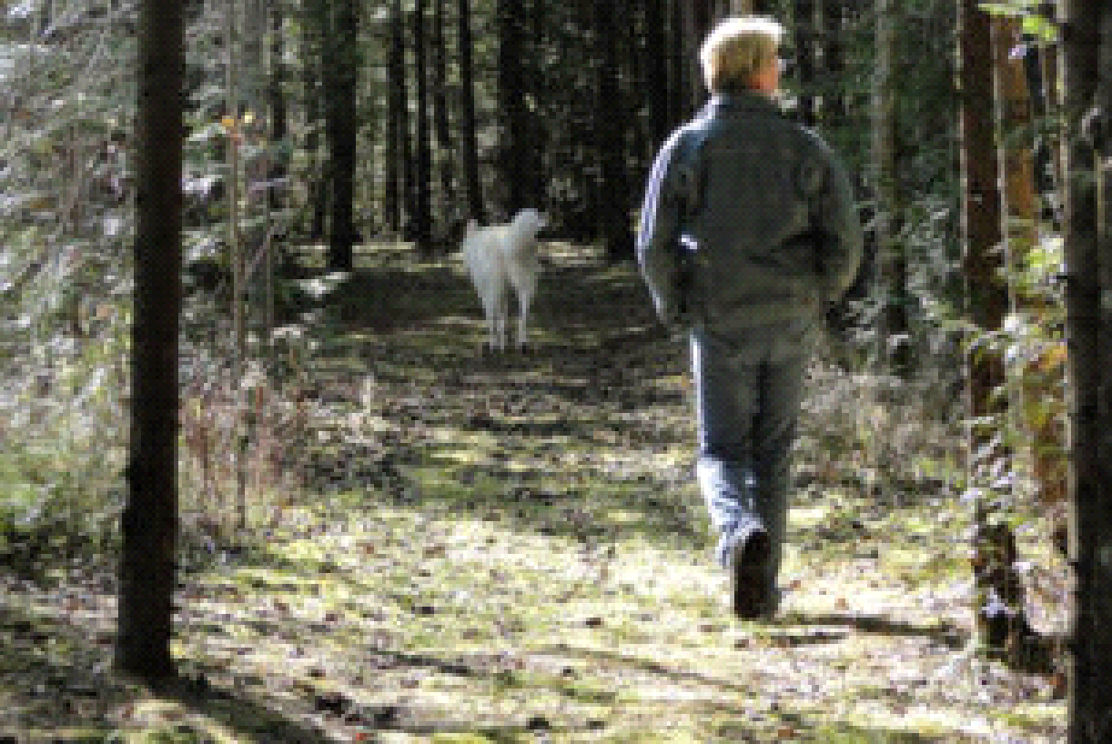 A man and a dog are walking down a path in the woods.