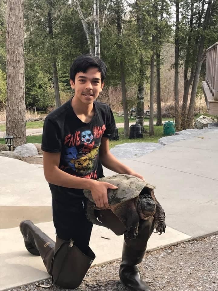 A young boy is kneeling down holding a large turtle.
