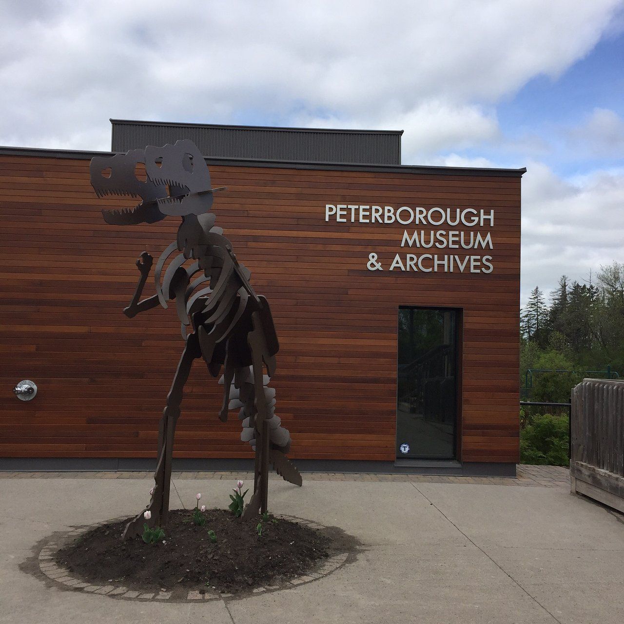 A peterborough museum and archives building with a dinosaur skeleton in front of it