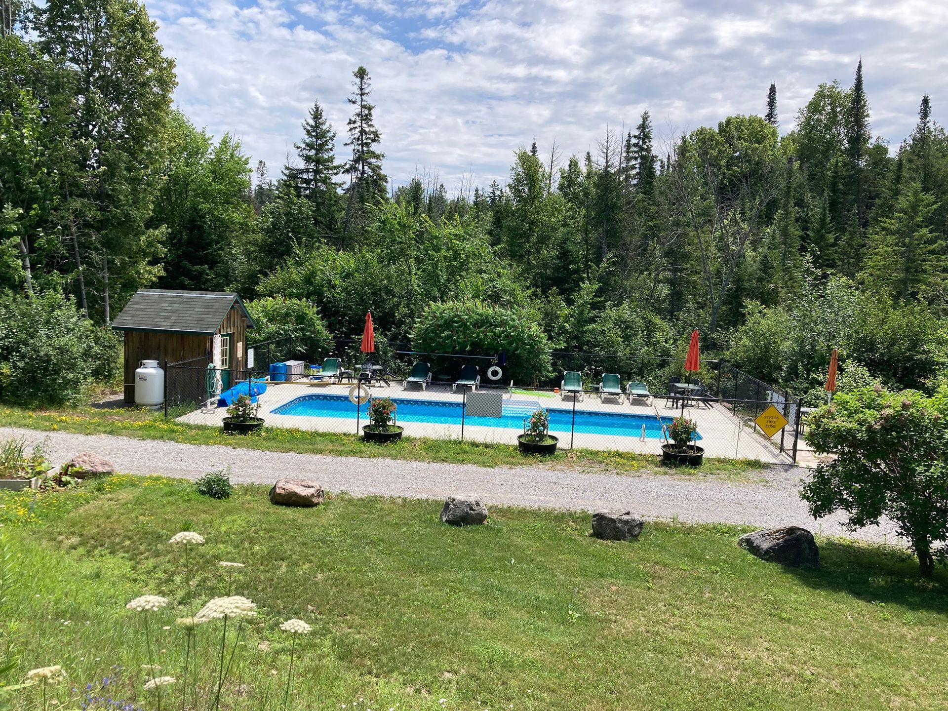 A large swimming pool surrounded by trees and grass in the middle of a forest.