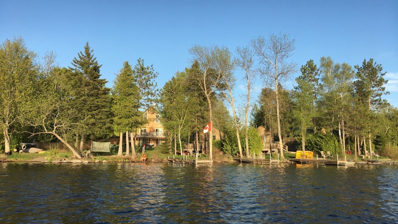 A row of trees along the shore of a lake with a house in the background.