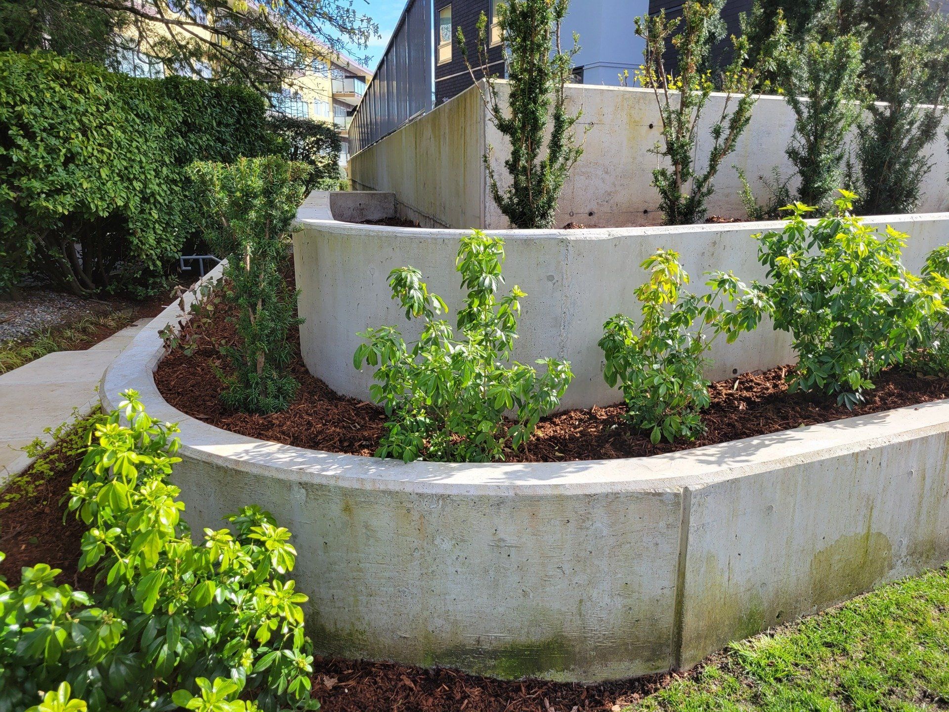 Tiered, oval concrete planter