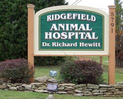 Animal Clinic — Ridgefield Signage in Morristown, TN