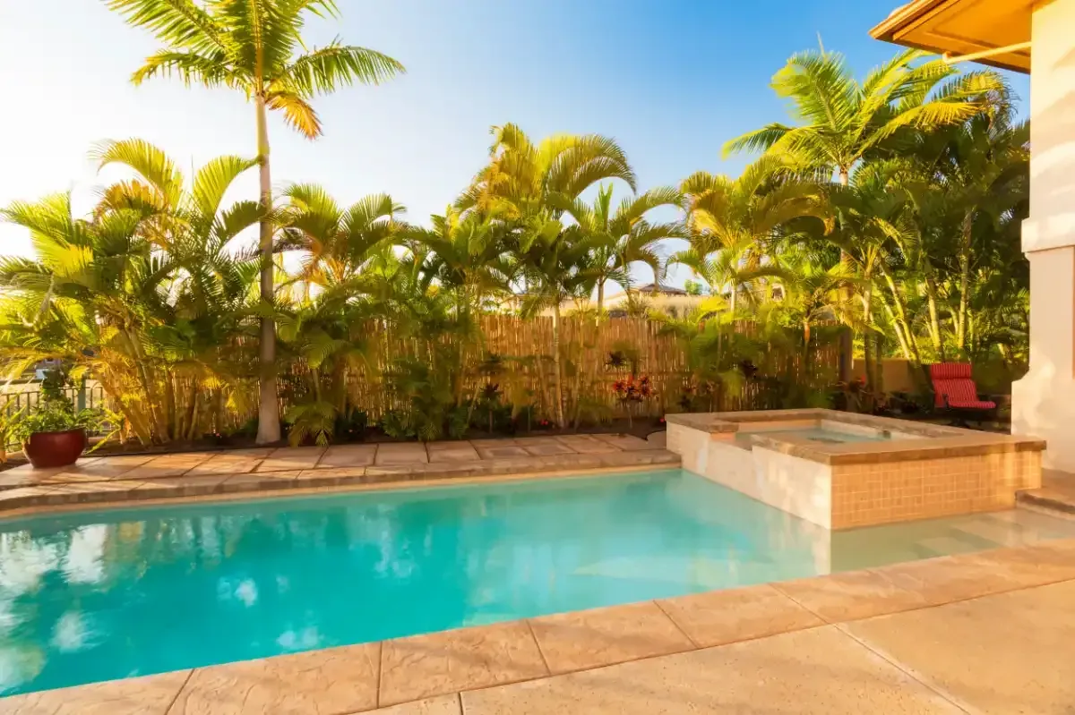 backyard pool in florida with cut concrete pool deck and palm trees