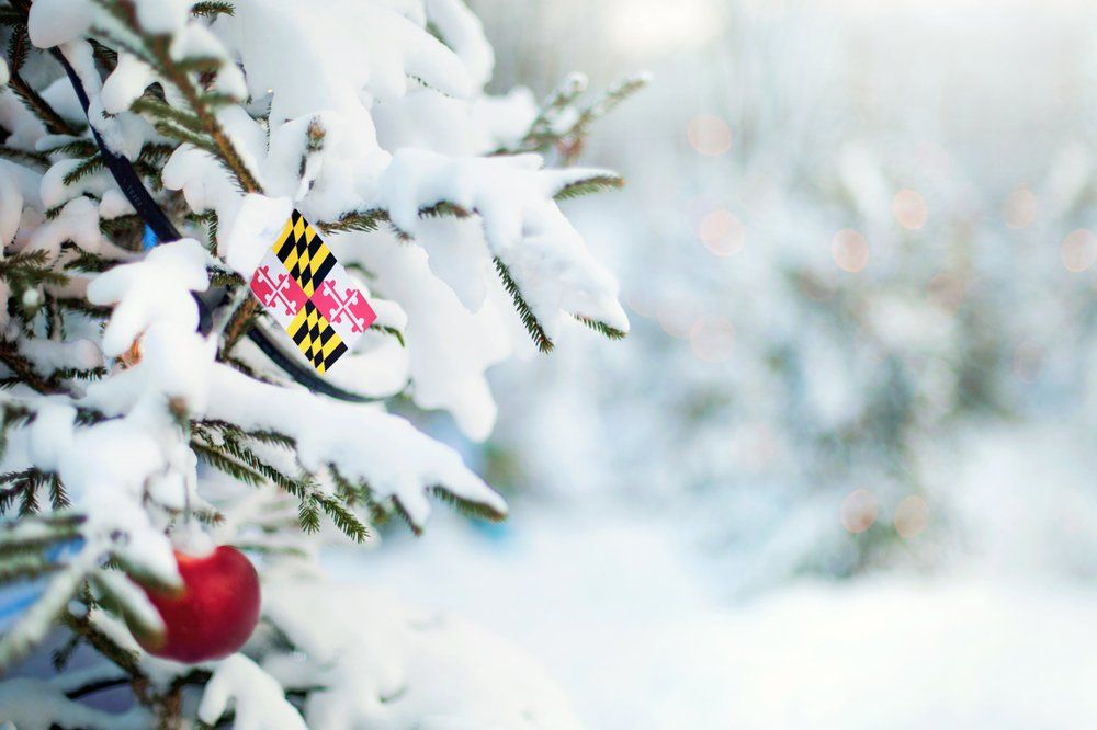 What is Winter Like in Maryland?