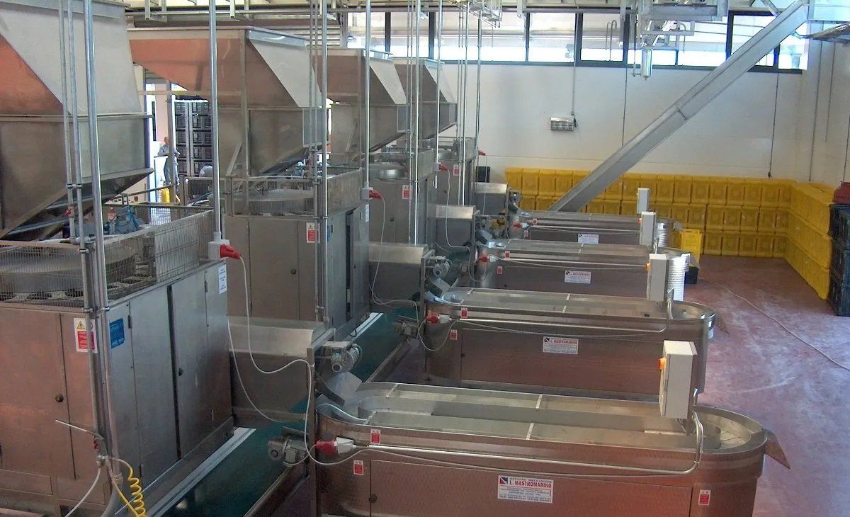 Sistemas para o setor agroalimentar