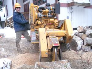 Stump removal in Juneau, AK