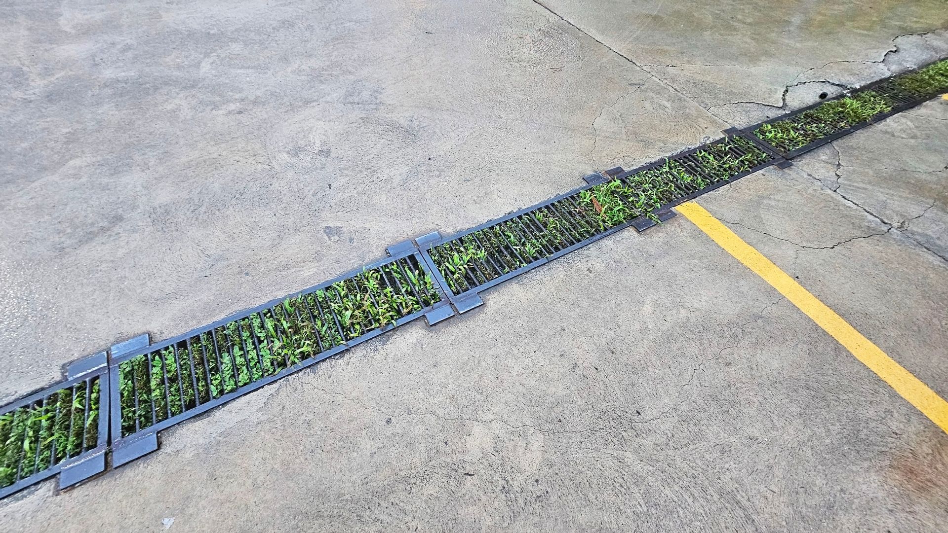 Parking lot drain that hasnt been cleaned