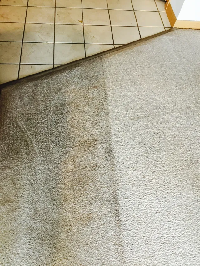 Carpet cleaned in section. Half is light, half is dark and dirty next to tile floor.