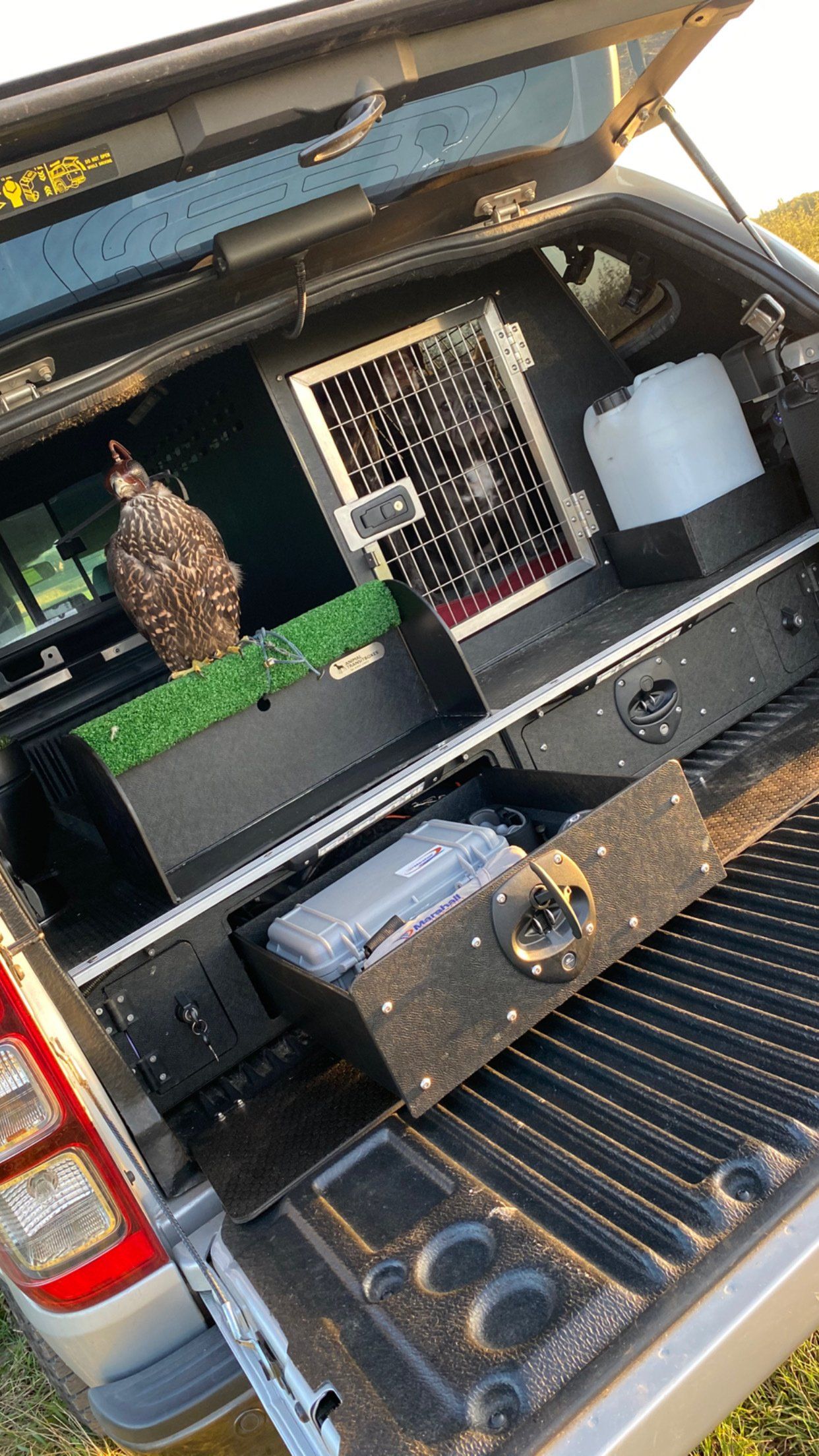 Falconry Equipment Falconry Travel BoxAnimal Transit Boxes