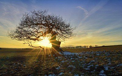 cremation services in Greenwood, IN