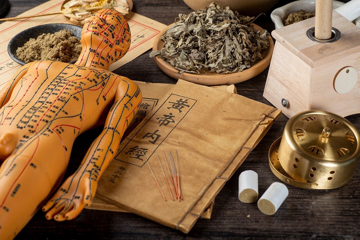 Anatomical mannequin on papers with grains, brass tools, and white caps on a wooden table
