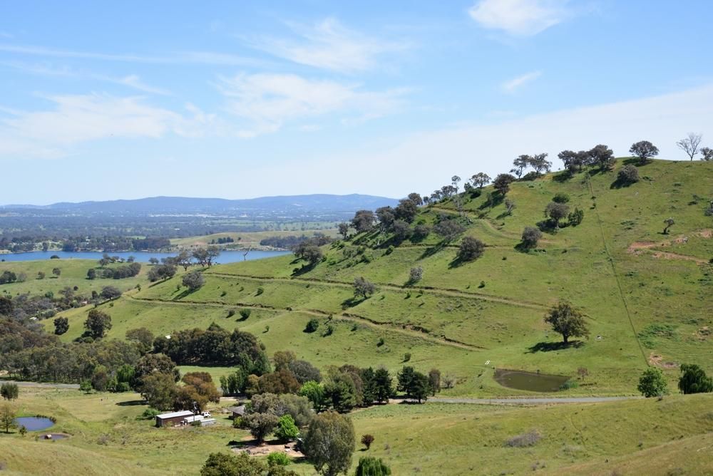 A Lush Green Hillside With Trees And A Lake In The Background — Custom Air In Albury, NSW