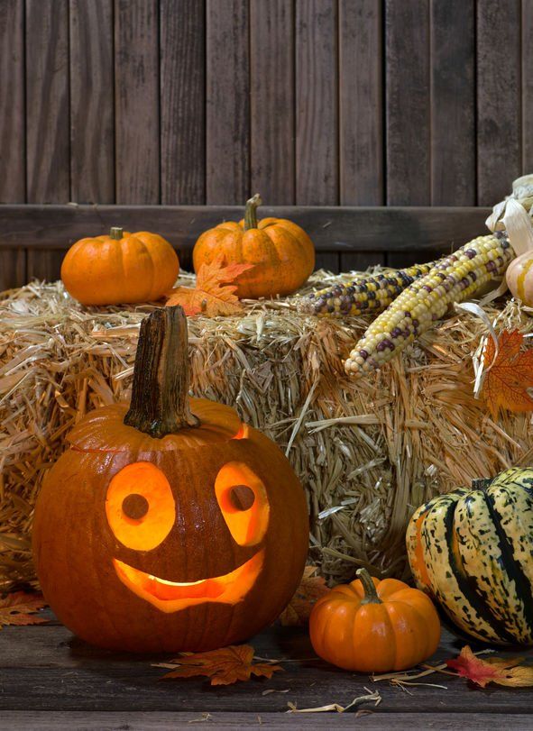 Don't Eat Too Much Candy This Halloween