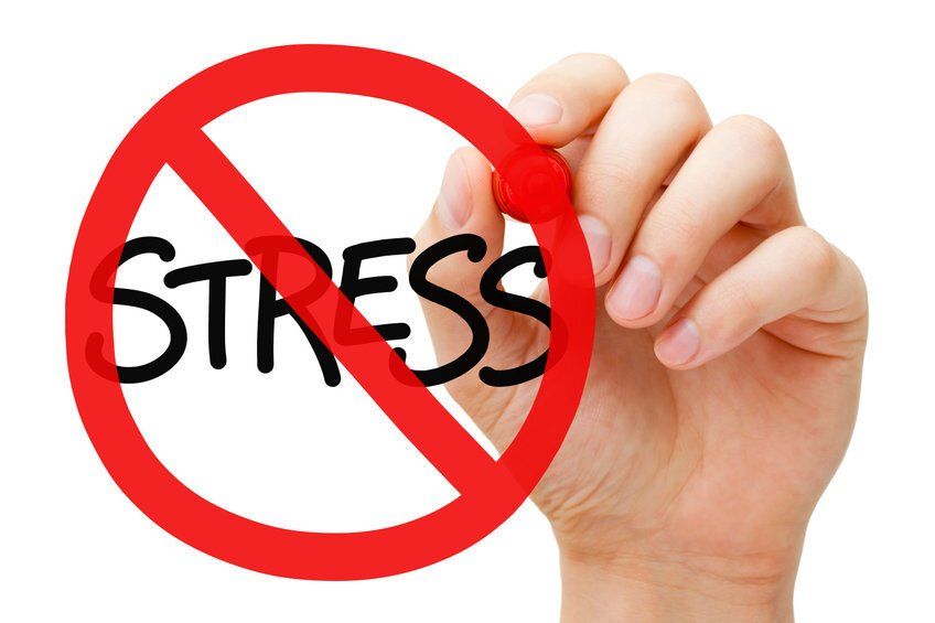 stress less dentistry sedation dental offices