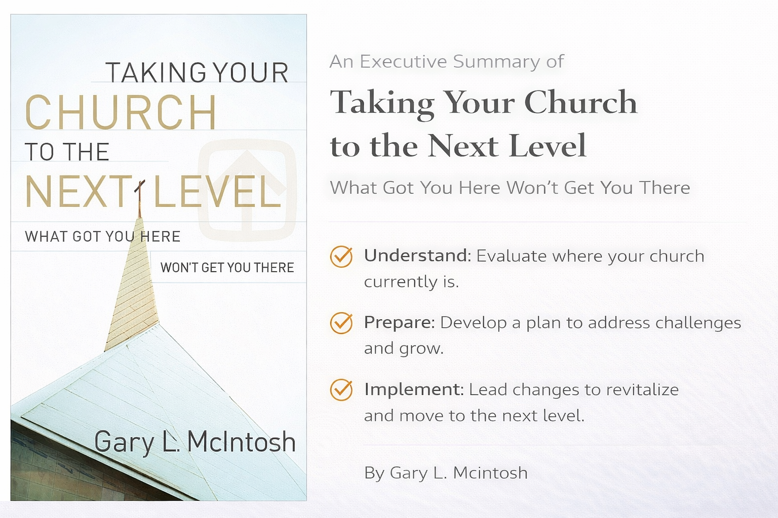 Next Level Executive Summary