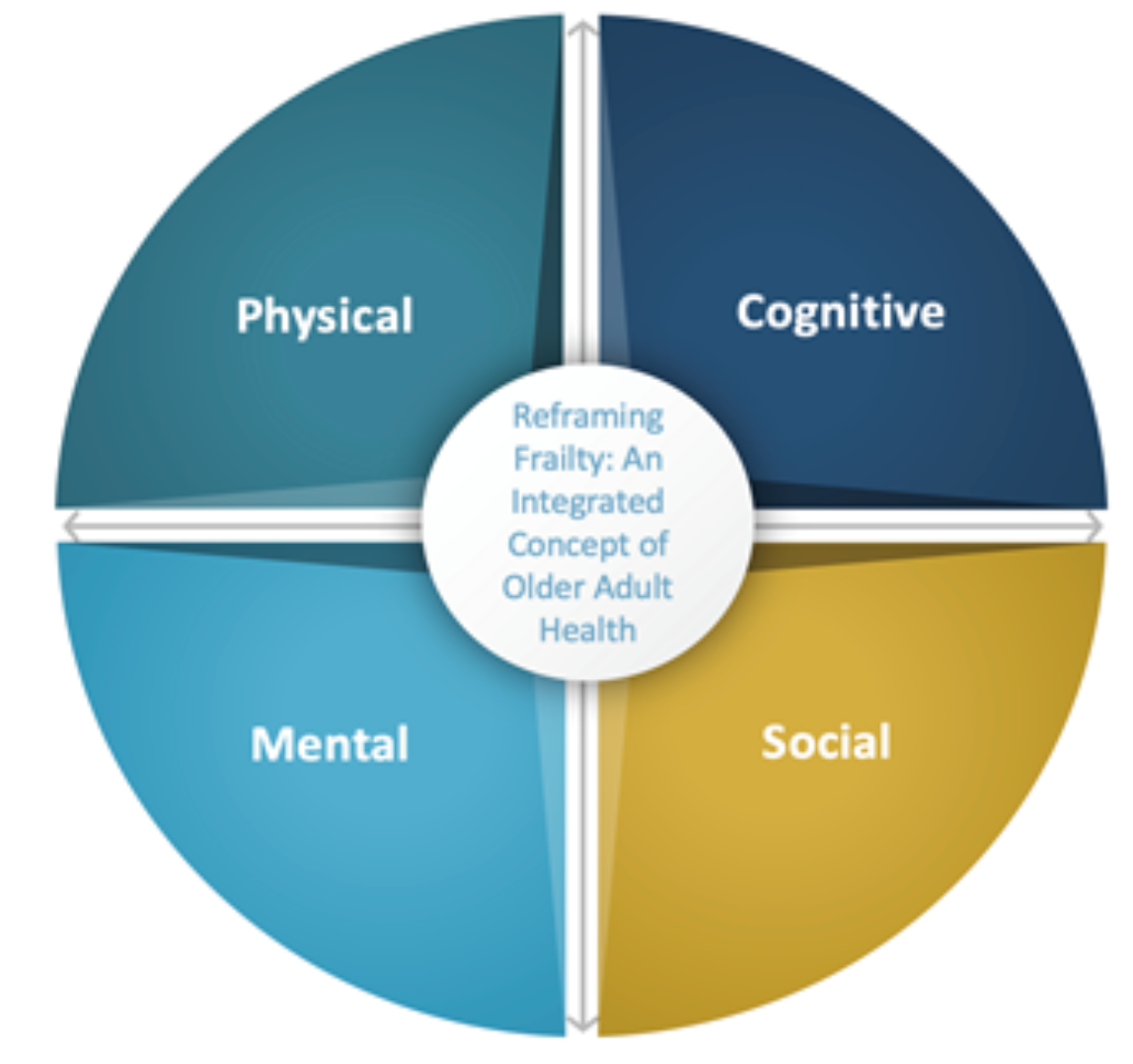 A pie chart showing physical mental cognitive and social