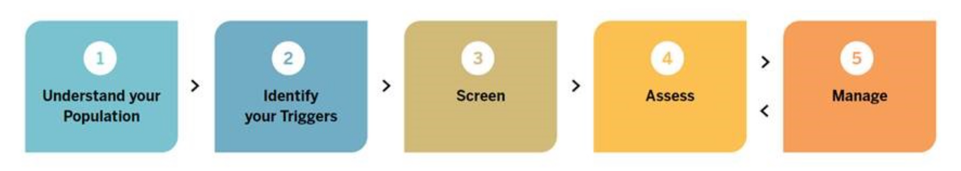 A graphic showing the steps of a process.