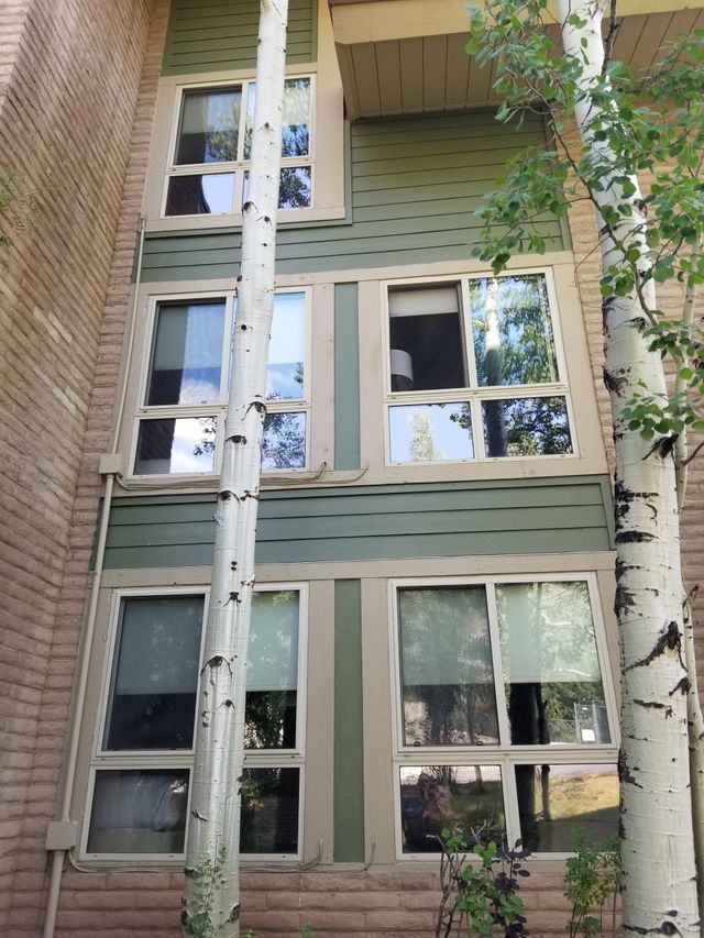 Architectural building design with large windows and a tree.