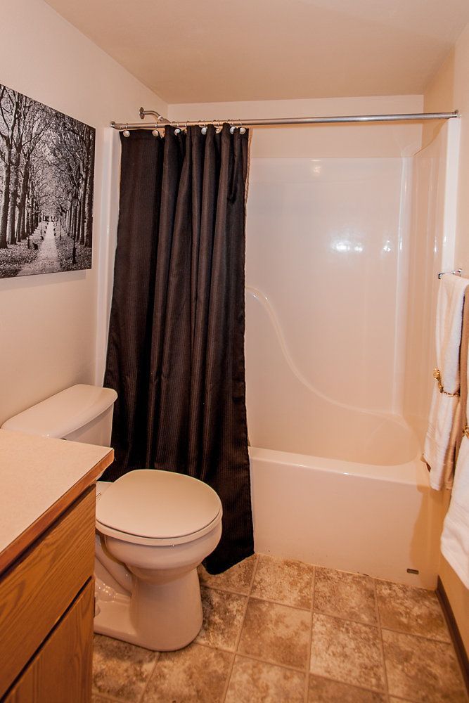 a bathroom with a toilet a bathtub and a picture on the wall