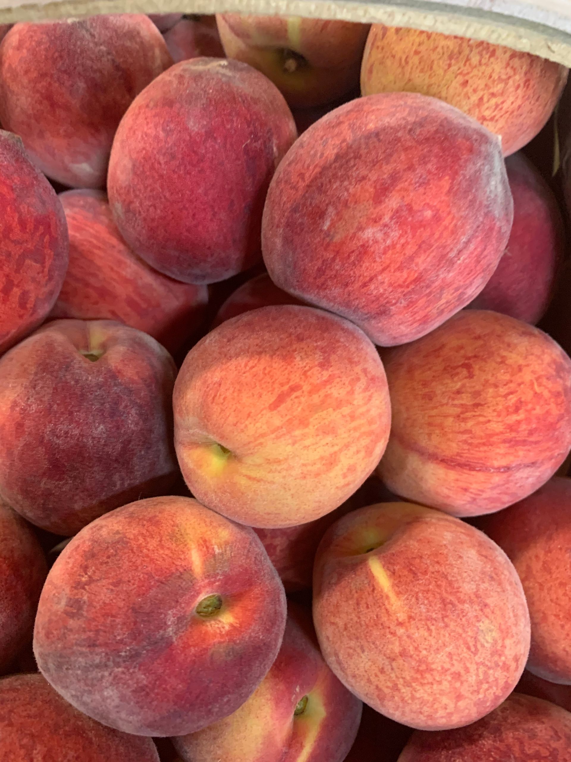 A bunch of peaches are sitting on top of each other in a bowl.