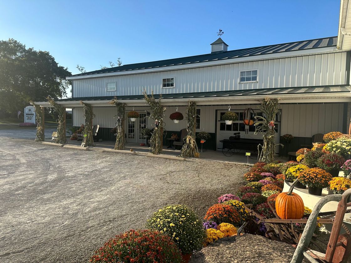 A large white building with a lot of pumpkins and flowers in front of it.