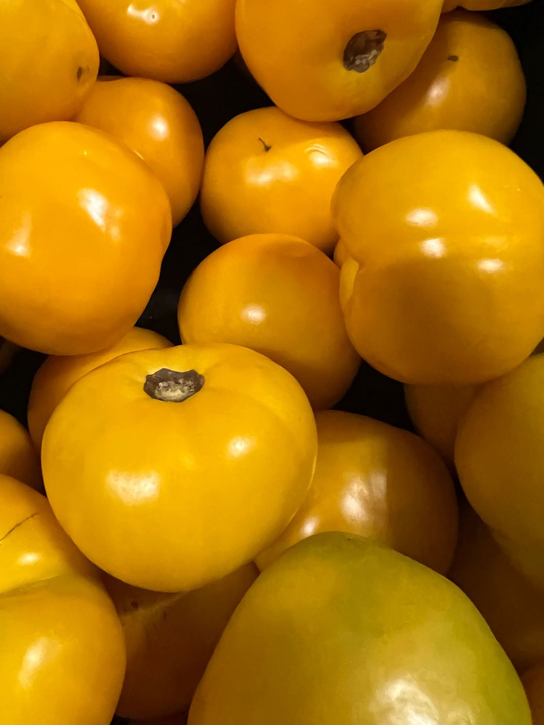 A bunch of yellow tomatoes are stacked on top of each other