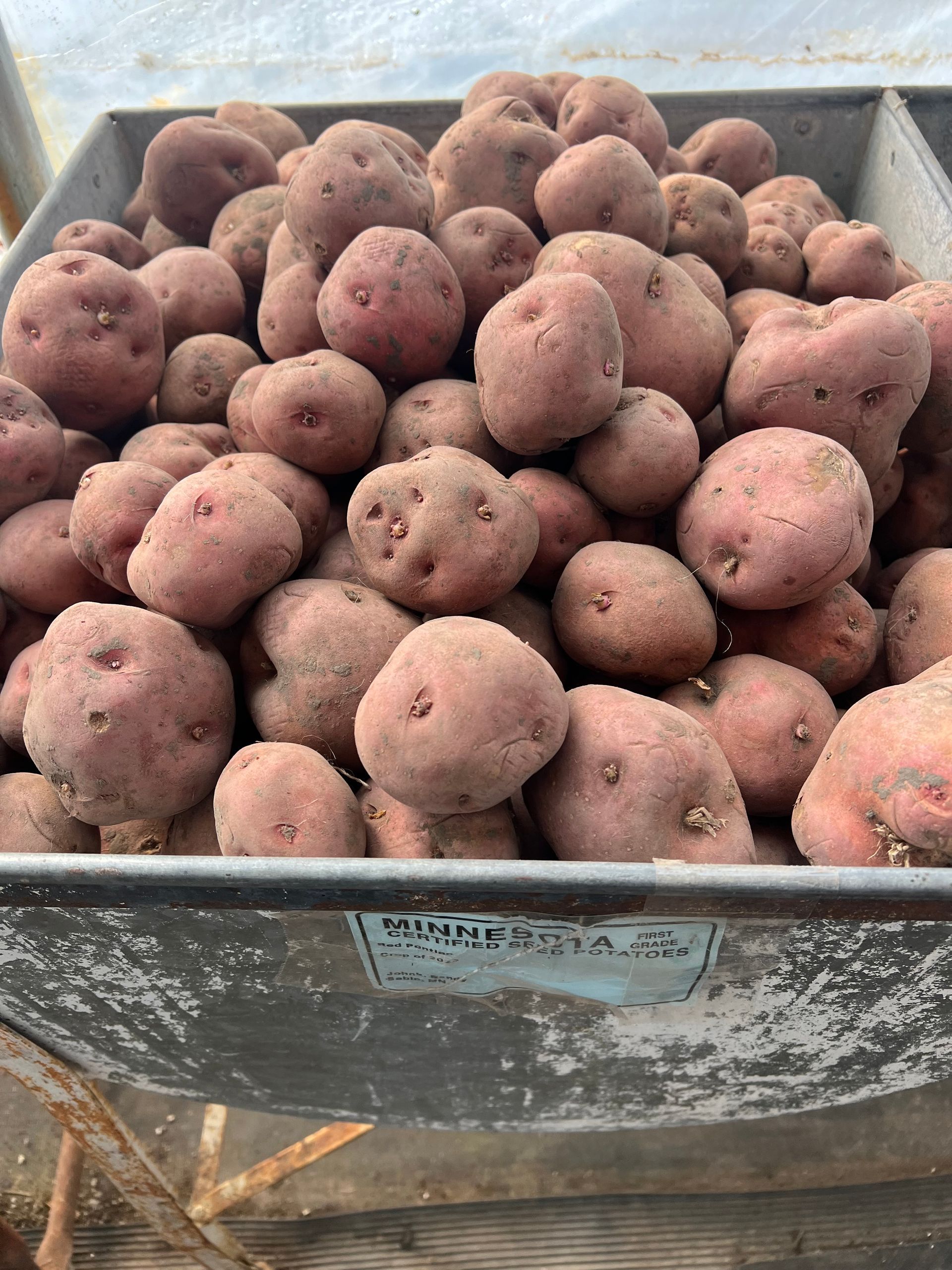 A tray of potatoes is sitting on a wooden table.