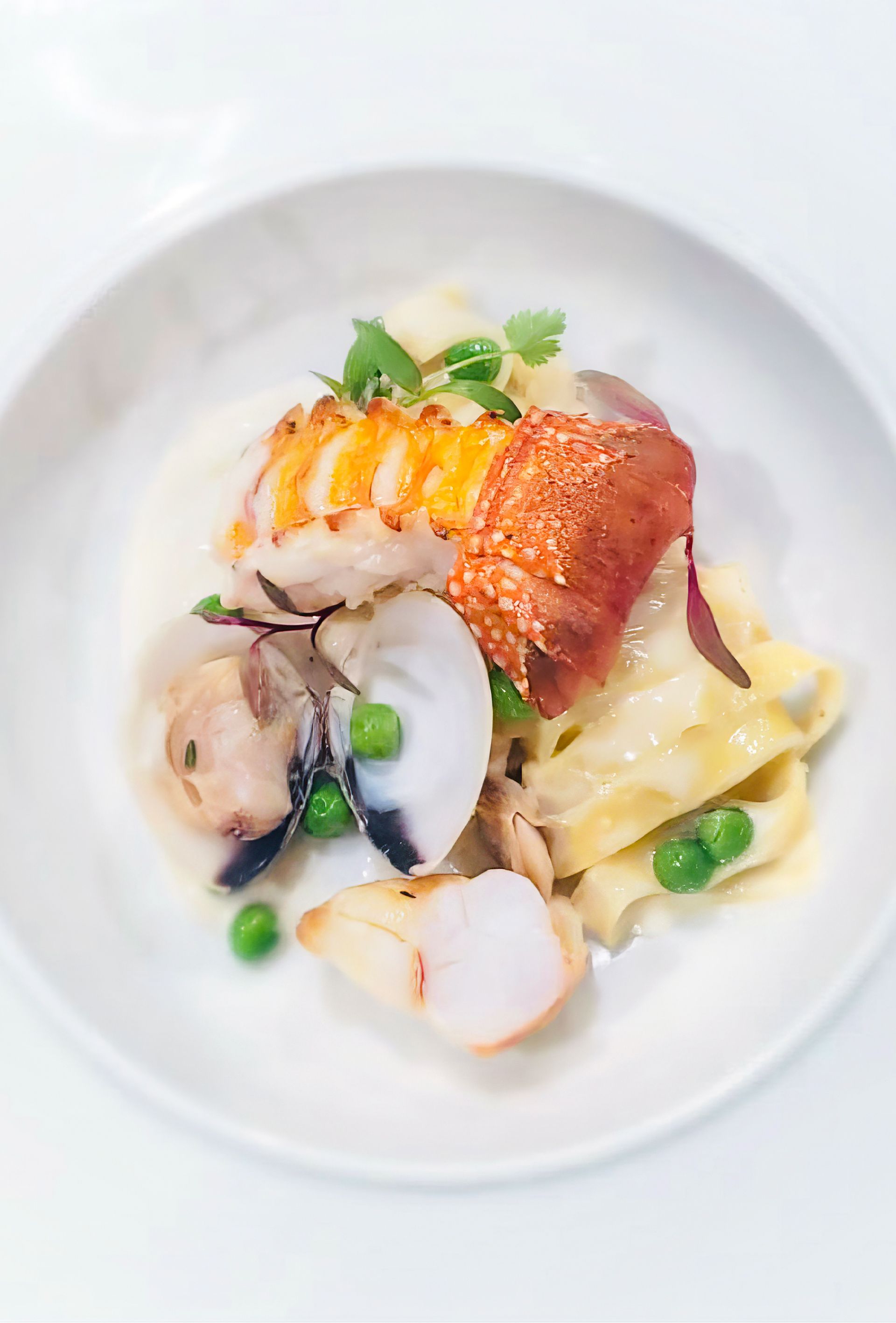 A close up of a plate of food on a table.