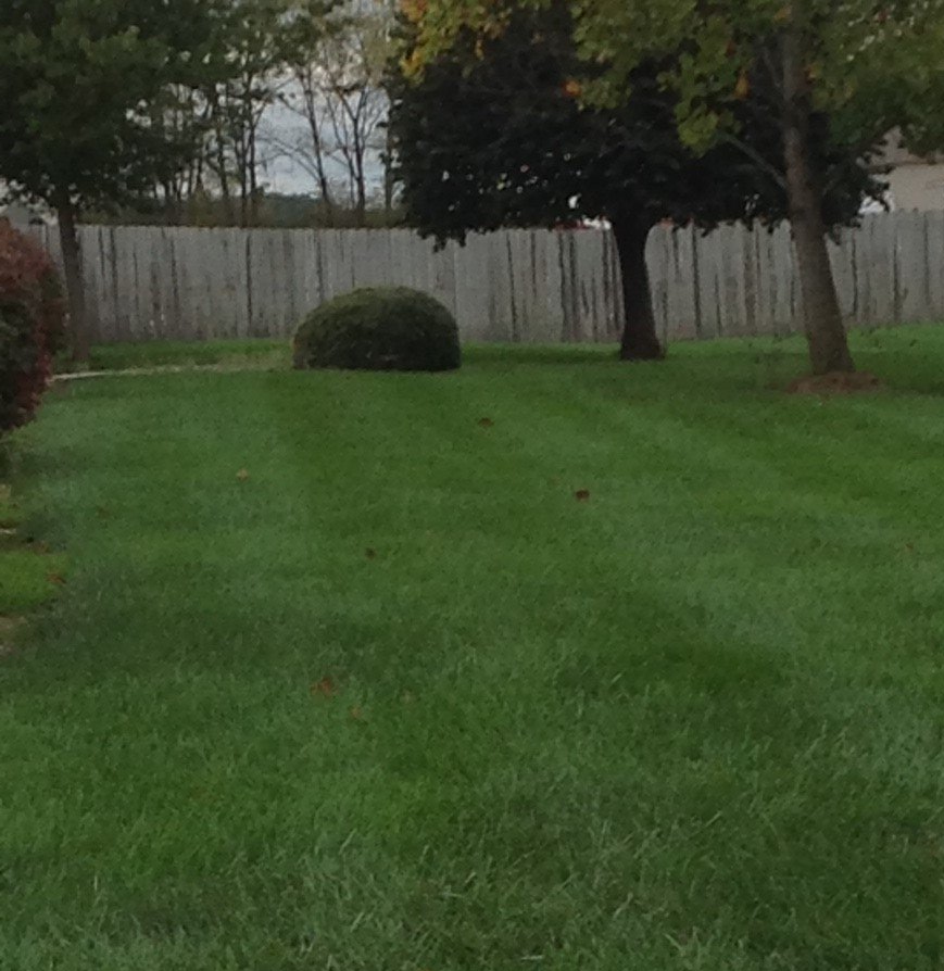 Core Aeration — Good Lawn in Wayne, IN