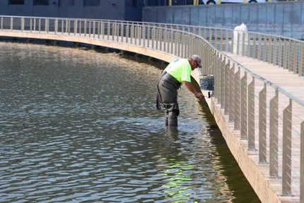 A man in a yellow shirt is standing in the water near a fence.