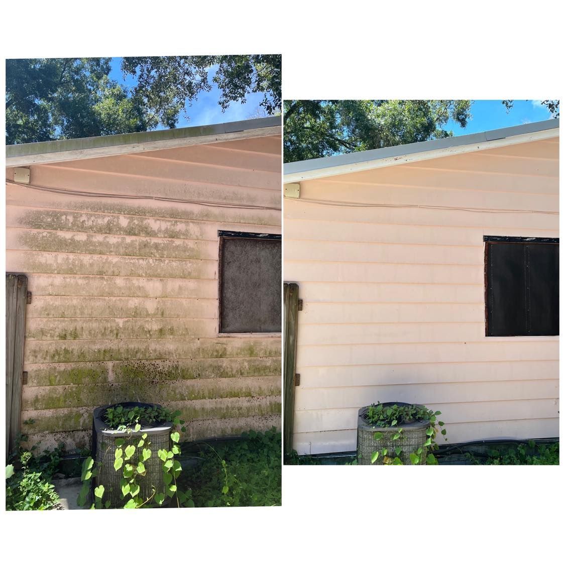 House Washing in Brandon, FL