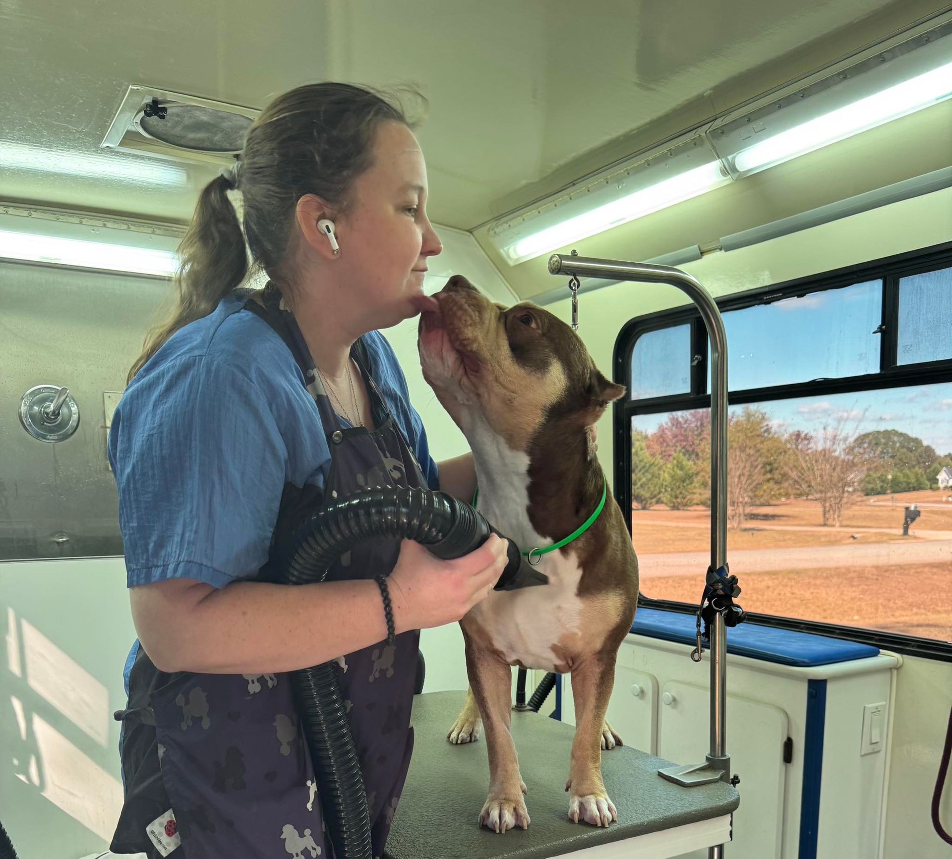 Woman kisses a brown and white dog on grooming table inside a mobile salon.