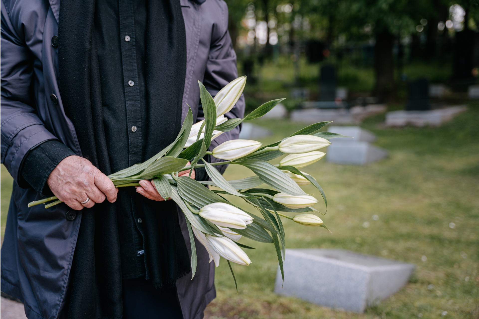 Person holding white lilies at a cemetery.