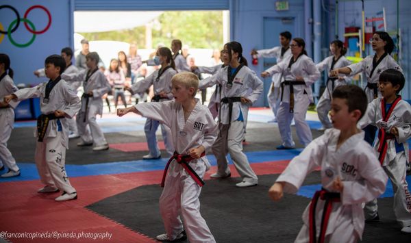 A group of children are practicing martial arts in a gym.