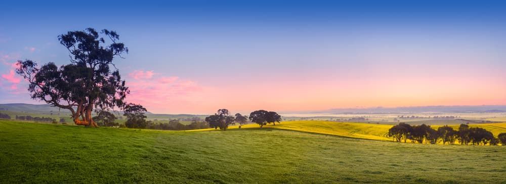 Scenic Countryside at Dusk — Electrical Services in Allora, QLD