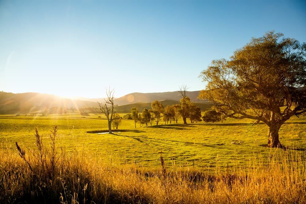 Sun Shining Over Rural Field — Electrical Services in Inglewood