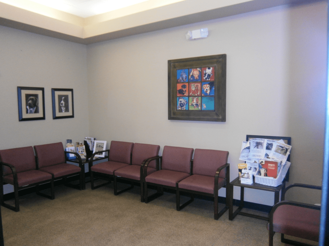 Corner Waiting Area — Tempe Veterinary Hospital in Tempe AZ
